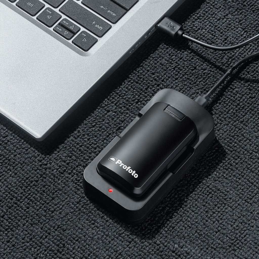 iwata Battery Charger for Profoto A-Series